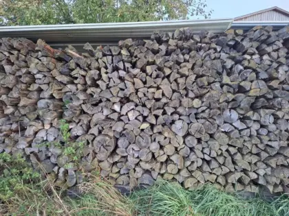 Brennholz