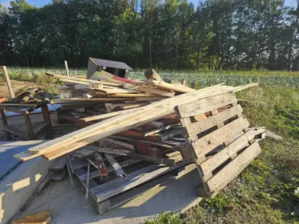 Brennholz