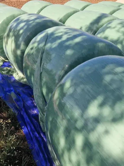 Maissilageballen 2026