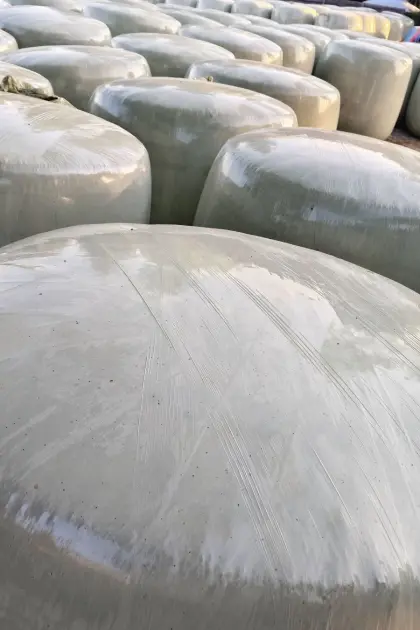 Maisballen zu verkaufen