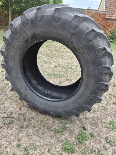 Trelleborg 650/65 R 38 TM 800