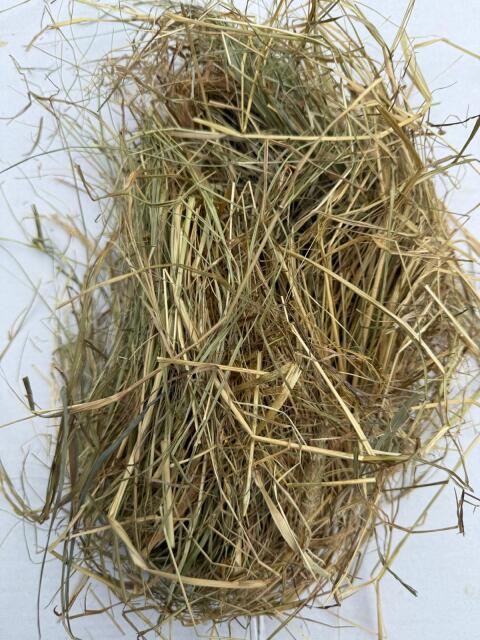 Heu, Heulage, Silage, Grassamenheu, Stroh