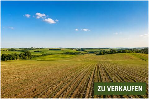 Landwirtschaftliches Grundstück: Top Gelegenheit