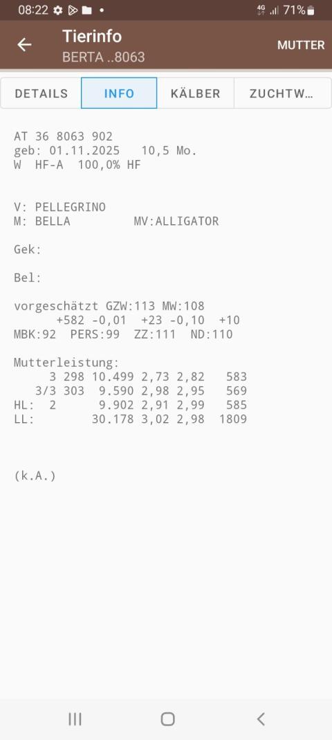 Verkaufe Holstein-Jungkalbin