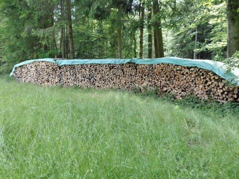 Brennholz