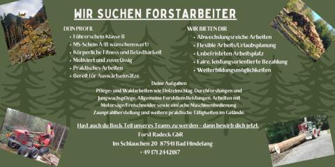 Wir suchen Forstarbeiter