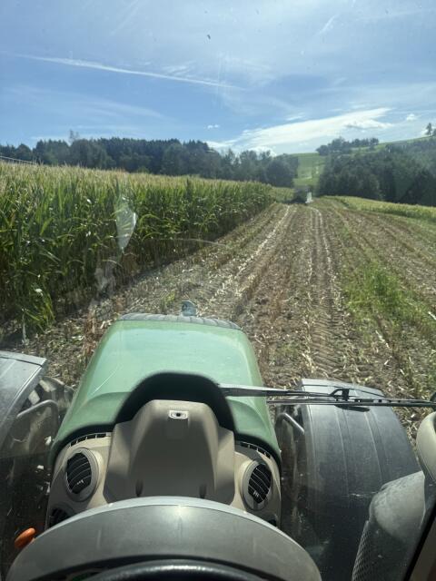 Suche Fendt 310-313 Vario S4 Profi oder Profi+
