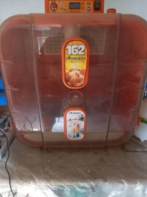 Covattuto 162