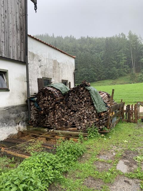 Trockenes Buchenholz zu verkaufen, Preis: € 110,-
