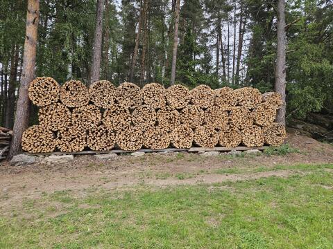 Brennholz
