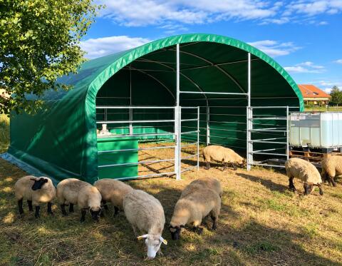 Mobiles Weidezelt, Agro-Zelt 6 × 6 m, für Rinder, Kälber u.