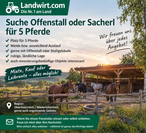 Suche