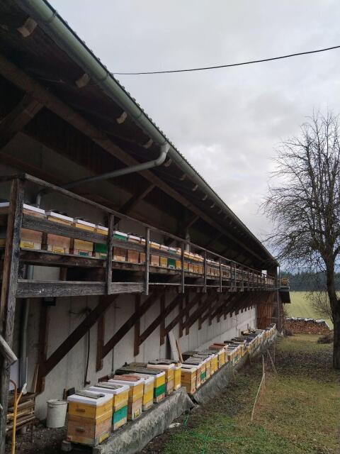Honig
