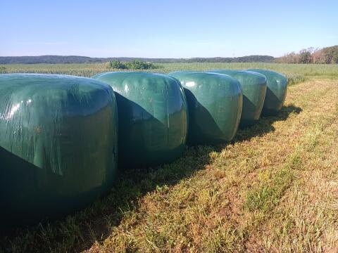 Siloballen 130 cm nur auf Vorbestellung