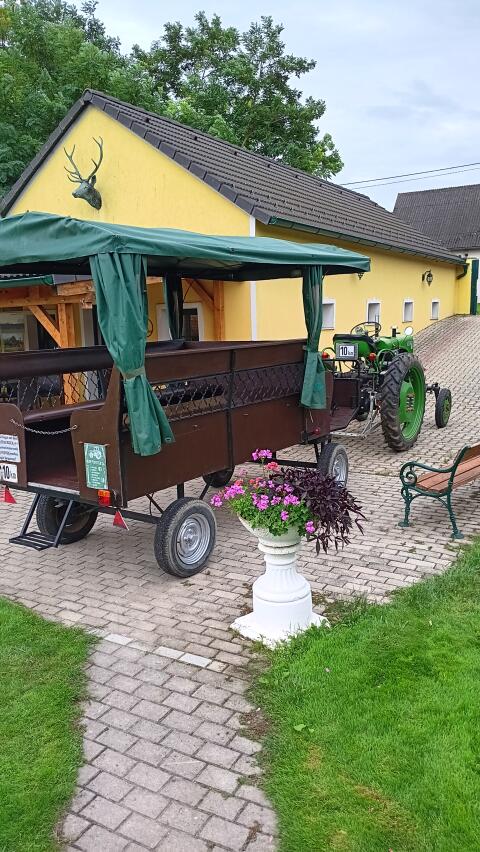 15 Steyr