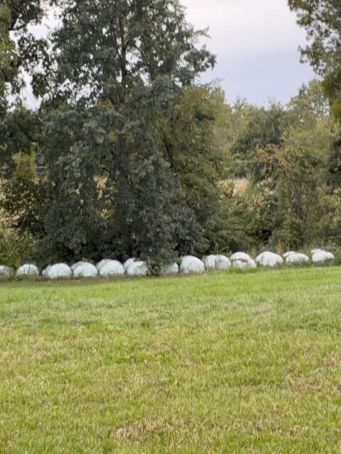 Siloballen