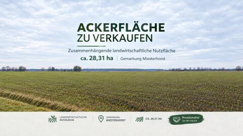 28,3 ha landwirtschaftliche Nutzfläche, Acker Miesterhorst