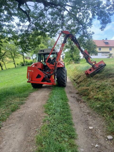Böschungsmäher Maschio Katia 550