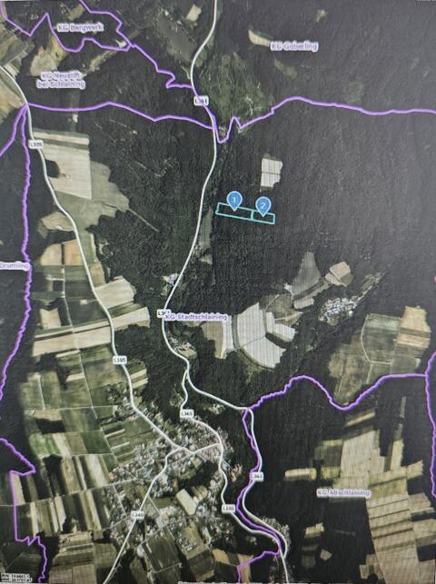 Wald in Stadtschlaining