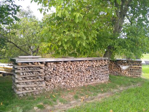 Brennholz