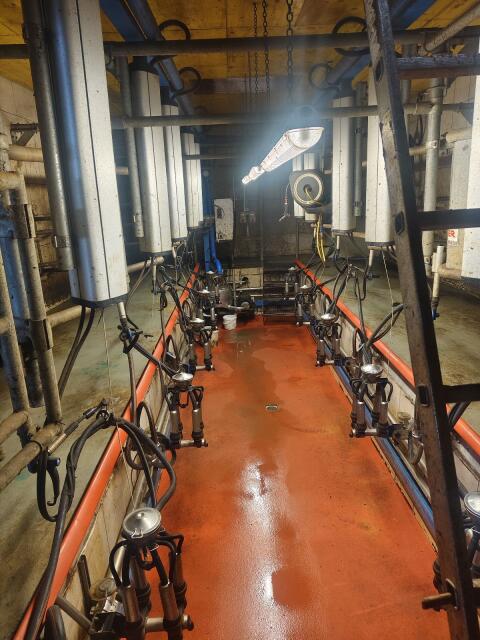 2 x 5 Melkstand DeLaval MP 400
