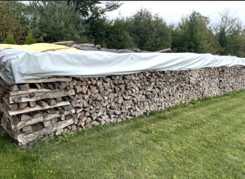 Holz