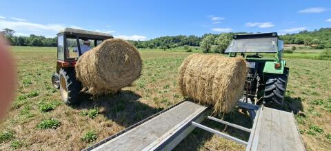 Heuballen, erster Schnitt