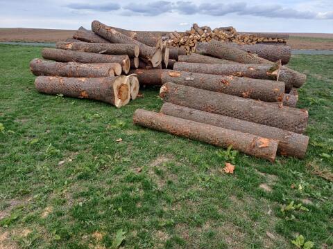 Rundholz für Brennholz
