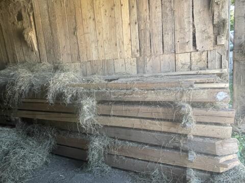 Altholz
