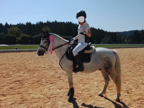 Reitpony, 128 cm Stockmaß