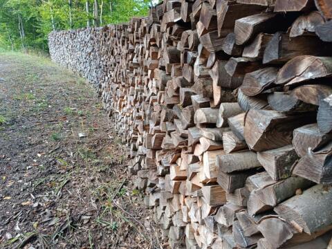 Brennholz