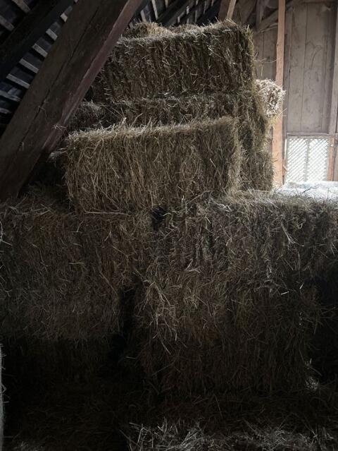 Heuballen klein, HD-Ballen