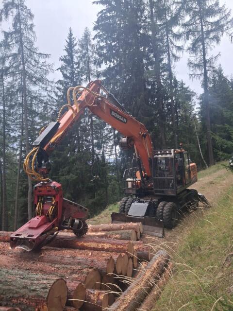 Doosan 210-5 mit Woody und Seilwinde, Doosan DX 210-5