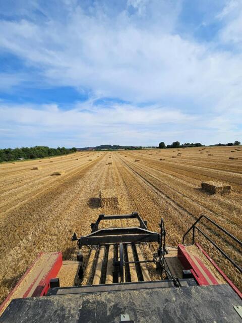 Quaderballen pressen