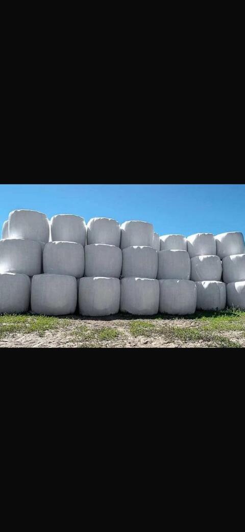 Siloballen, Silage, Grassilage