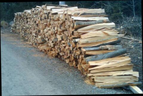 Brennholz Buche und Fichte gemischt