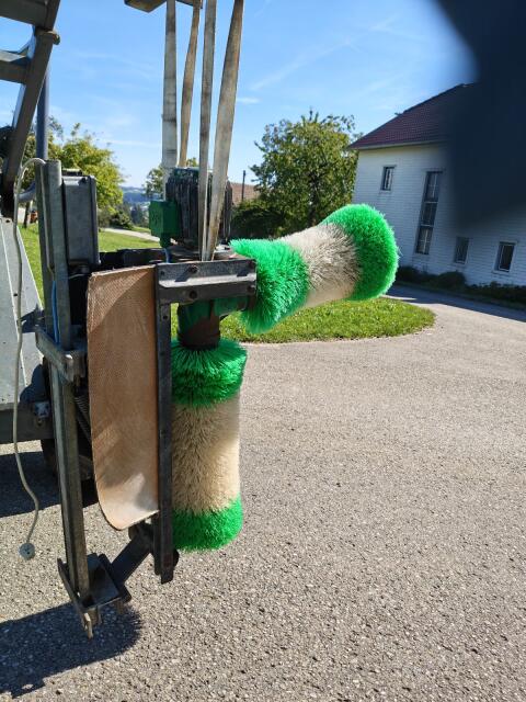 Schurr, Kuhbürste