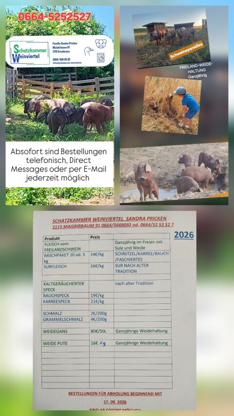 Weideschweine, Weidegänse, Weideputen