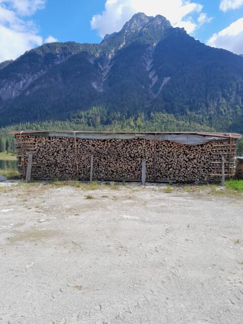 Buchenholz