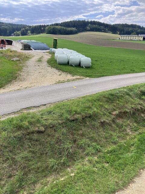 4. Schnitt Silage-Rundballen