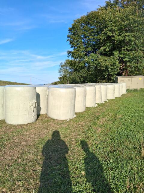 Maissilageballen