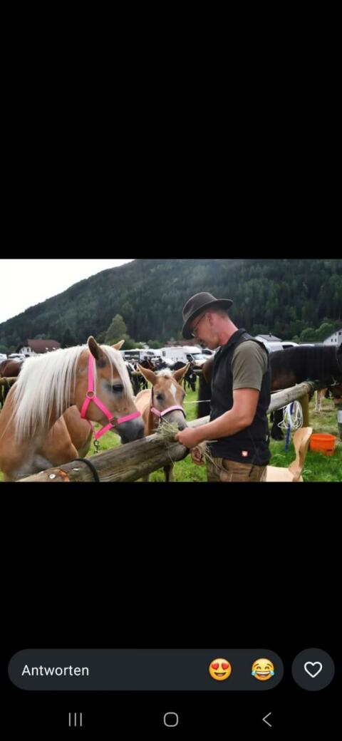 Hafiprinzessin sucht Traumzuhause