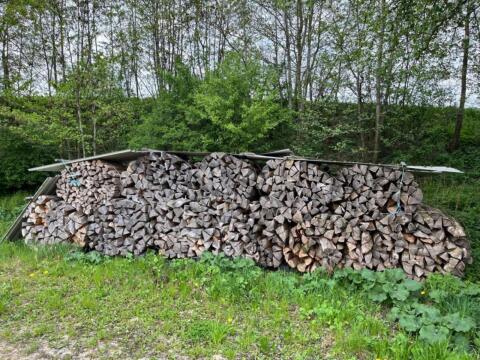 Brennholz