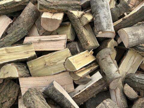 Brennholz hart