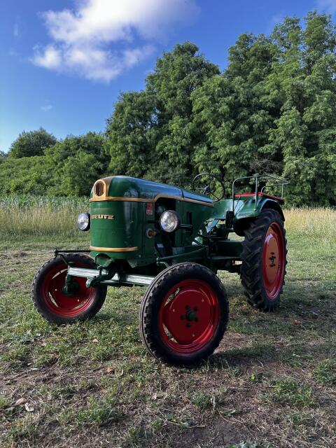 Deutz F1L612 (1955) mit Papieren