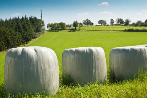 Silageballen