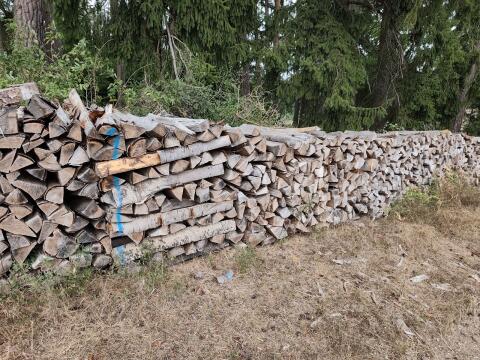 Buchen-Scheitholz