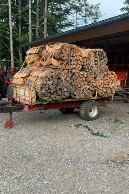 Verkaufe Brennholz