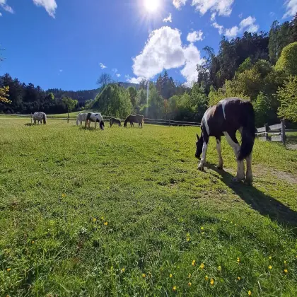 Einstellplätze