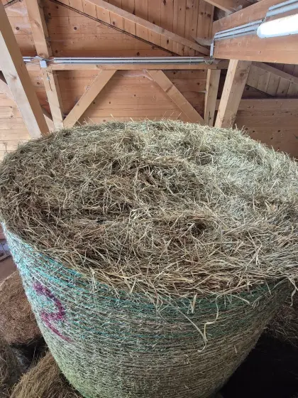 Heu-Rundballen Grummet Bio, belüftet